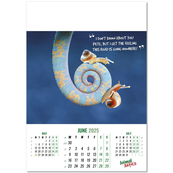 Animal Antics Wall Calendar