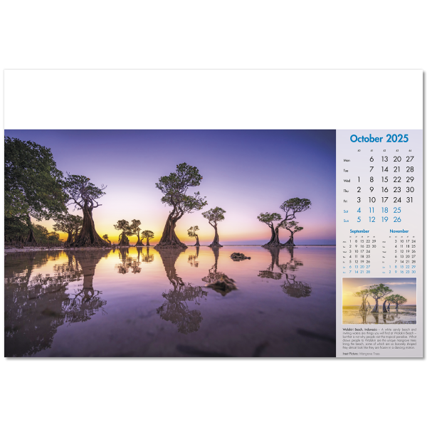 Blue Planet Wall Calendar