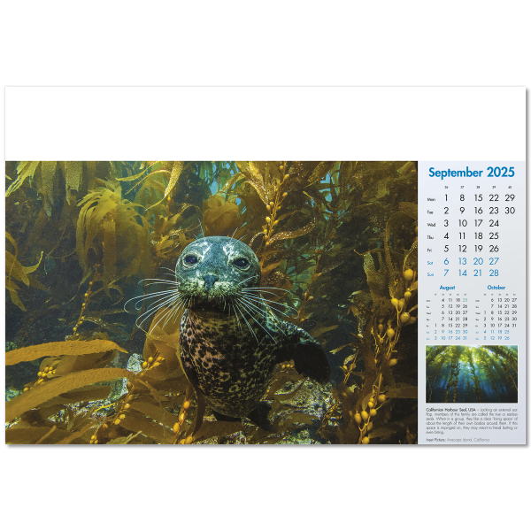 Blue Planet Wall Calendar