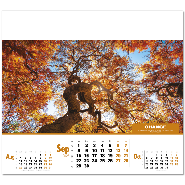 Inspirations Wall Calendar