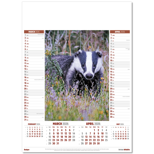 British Wildlife Wall Calendar