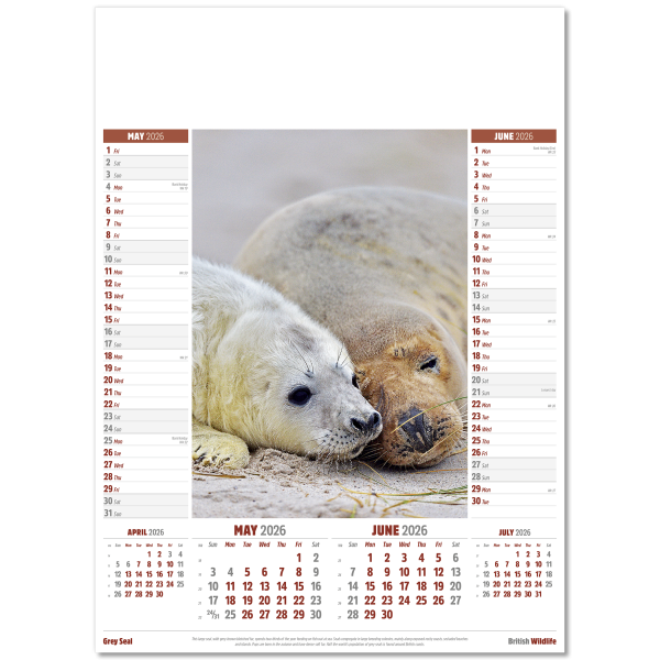 British Wildlife Wall Calendar