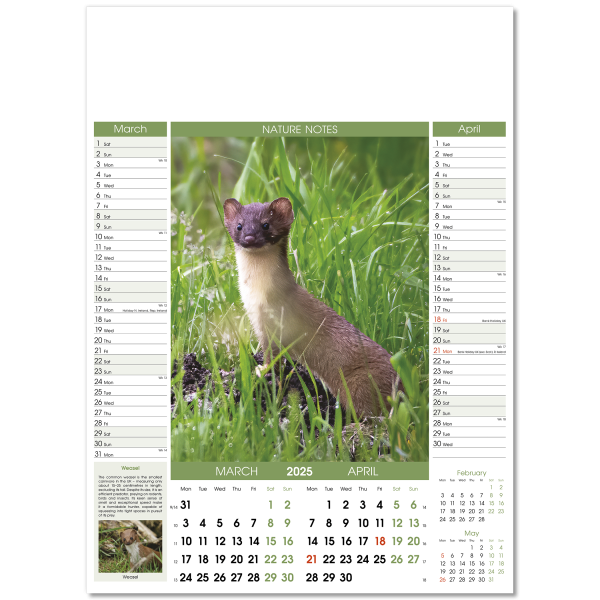 Nature Notes Wall Calendar