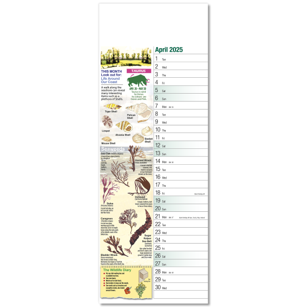 Nature Watch Slim Wall Calendar