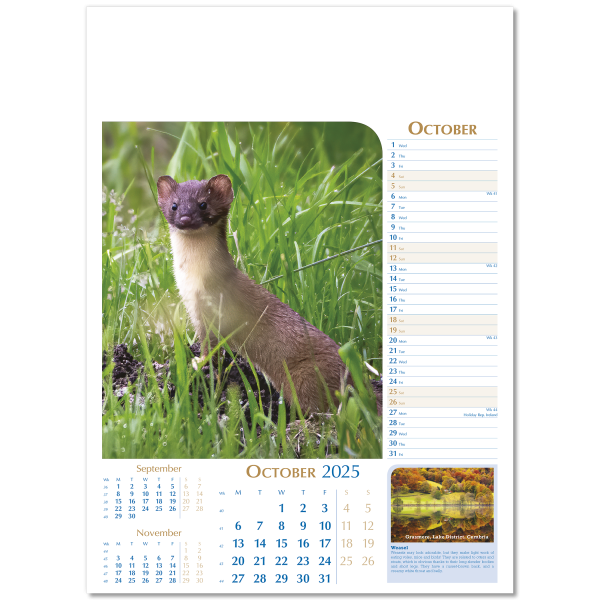 Notable Wildlife Wall Calendar