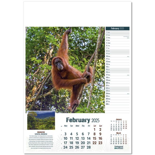 Endangered Species Wall Calendar