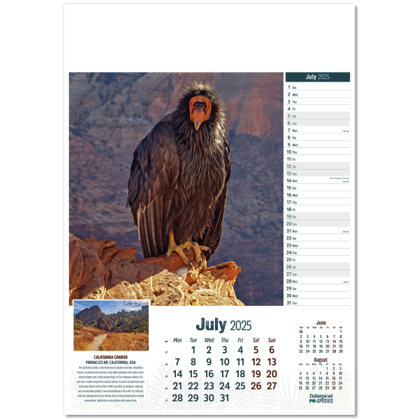 Endangered Species Wall Calendar