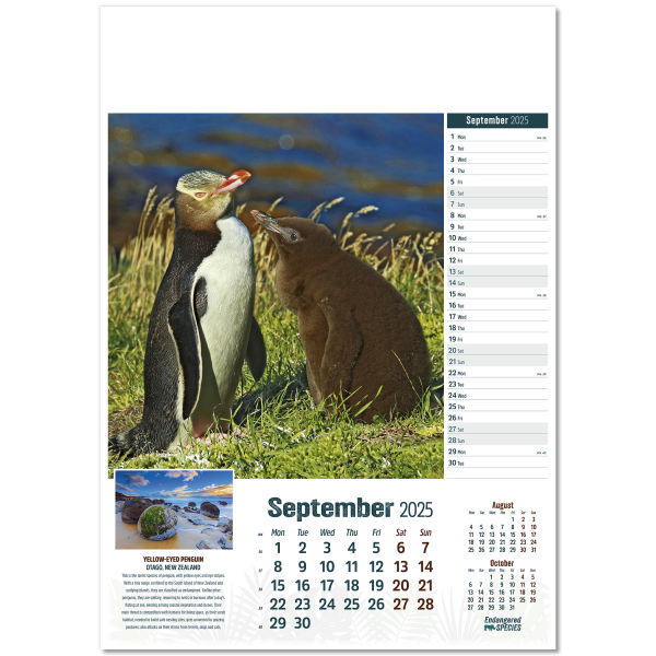 Endangered Species Wall Calendar