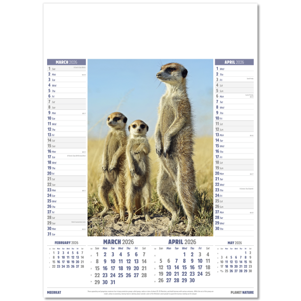 Planet Nature Wall Calendar