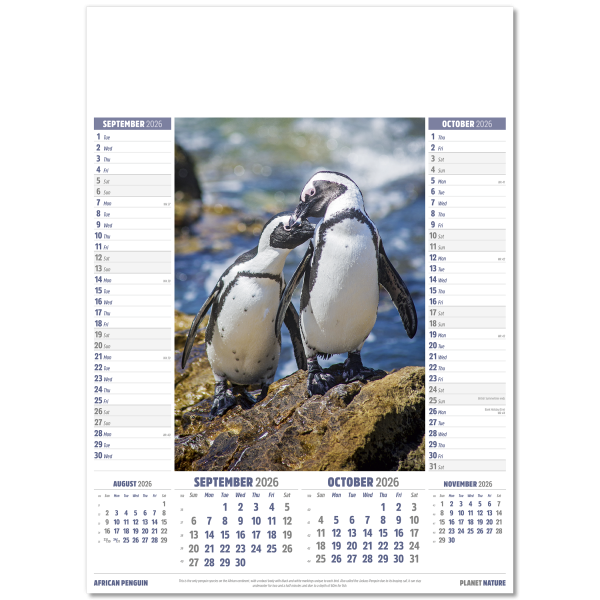 Planet Nature Wall Calendar