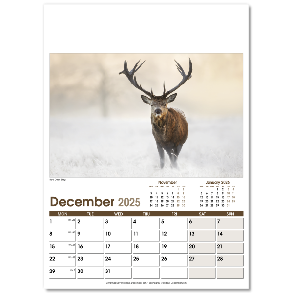 Rural Life Wall Calendar - 13 Leaf